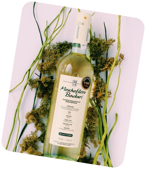 Liquid Plant Vineyard Wine White Flower